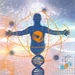 Adaptable Polarity Illustrations 2.0