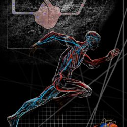 Embodied Anatomy Illustrations and Adaptable Polarity Principles