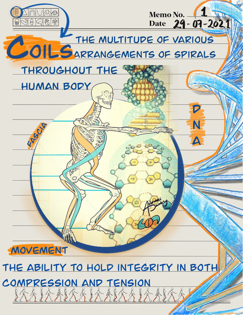 Human Architecture – Adaptable Polarity