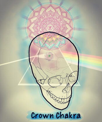 Polarity of Chakras E Series - Image 3