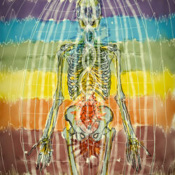 Polarity of Chakras E Series