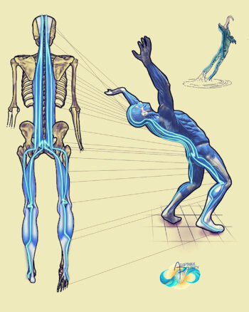 Recorded** Movement, Muscles & Meridians Feet to Head