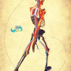 Spirals & Gait (Movement, Muscles & Meridians approach)