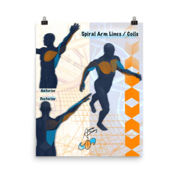 ! ALL Adaptable Polarity Series PDFs Bundle - Image 7