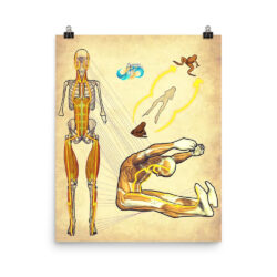 Recorded** Movement, Muscles & Meridians Arms & Legs BUNDLE