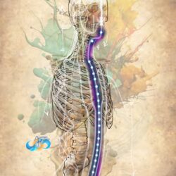 Myofascia & Meridians- Day 1 Intro and Central Meridians (Pre Recorded*)