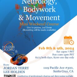 Neurology, Bodywork & Movement- Prerecorded* zoom