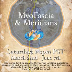 ! MyoFascia & Meridians