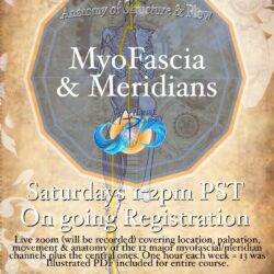 ! MyoFascia & Meridians