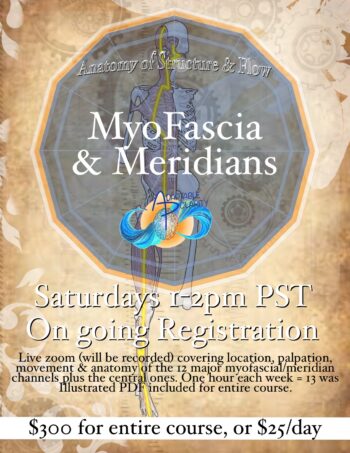 ! MyoFascia & Meridians