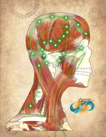 ! MyoFascia & Meridians - Image 2