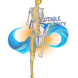 !! Interim Myofascia & Meridians- Rendered & Unrendered