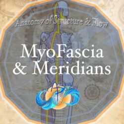 !!Recorded Zoom Myofascia and Meridians Course
