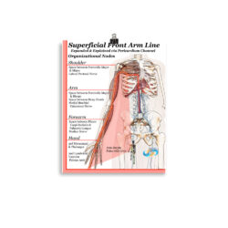 Pericardium