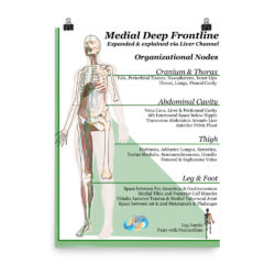 !! Myofascia & Meridians (posters)