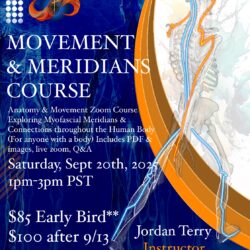 !!Movement & Meridians Prerecorded Course