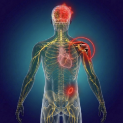 !!!The "Neural" Body Keeps the Score (for practitioners/therapists)