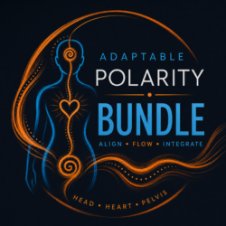 !!!! Mini Course Bundle- 7 top courses
