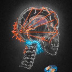 !!! Concussions- Part 2