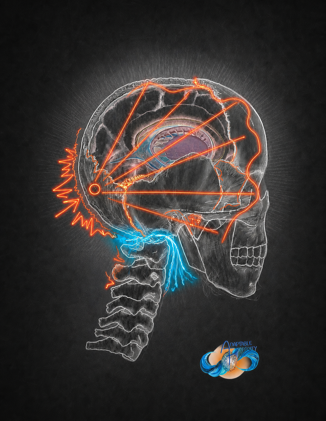 !!! Concussions- Part 2